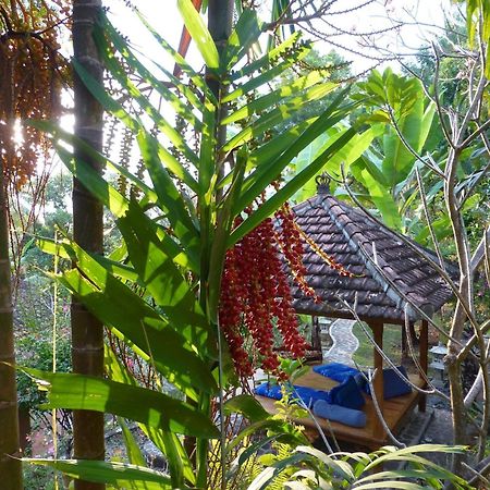 Sananda Bungalow Lovina Exteriér fotografie