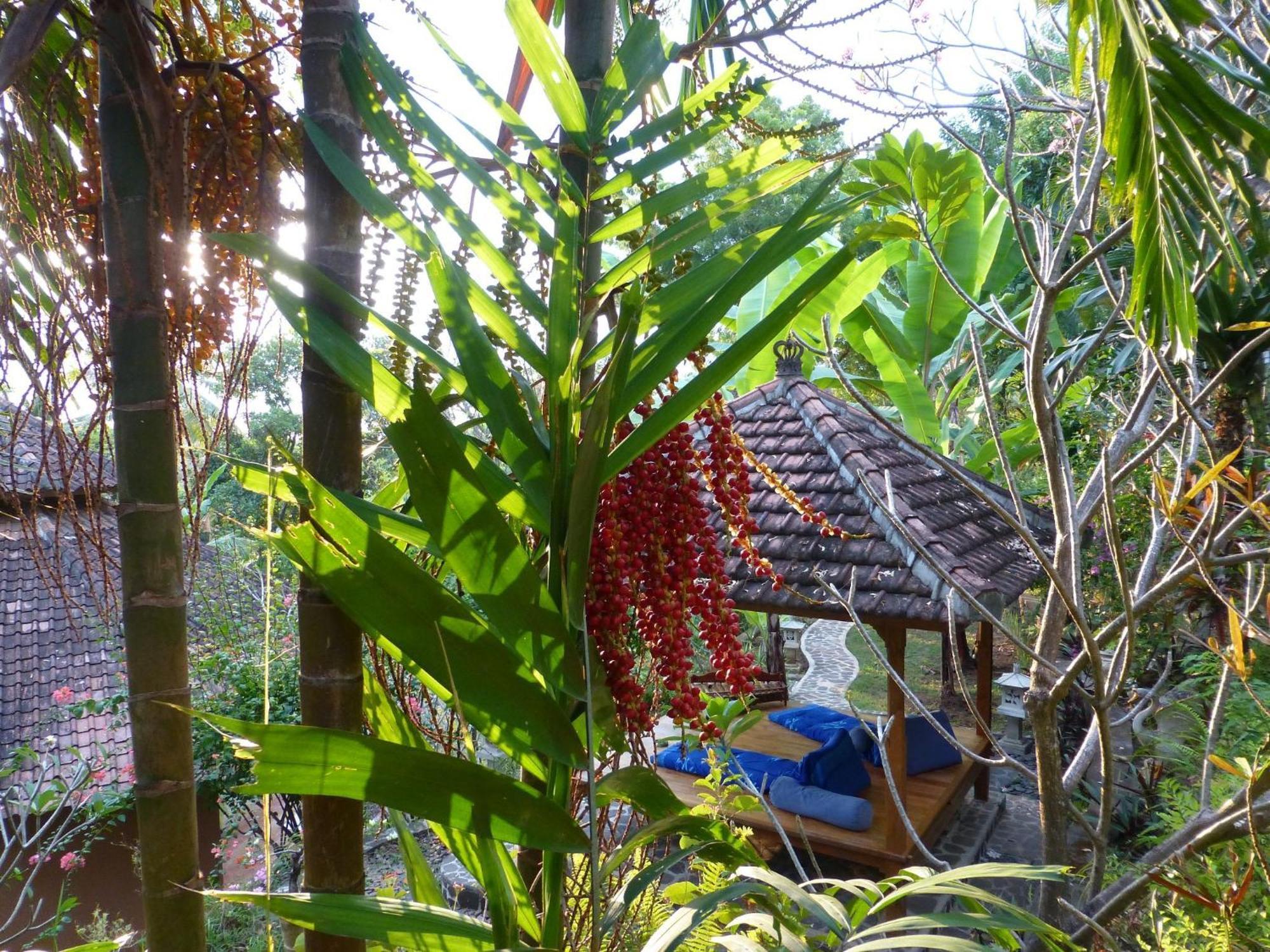 Sananda Bungalow Lovina Exteriér fotografie