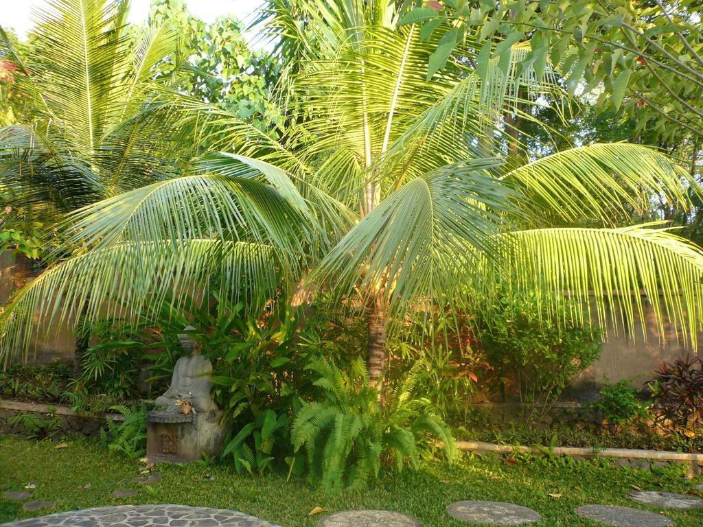 Sananda Bungalow Lovina Exteriér fotografie